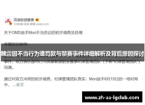 魏震因不当行为遭罚款与禁赛事件详细解析及背后原因探讨